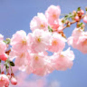 Meet your Posher, Sabrina